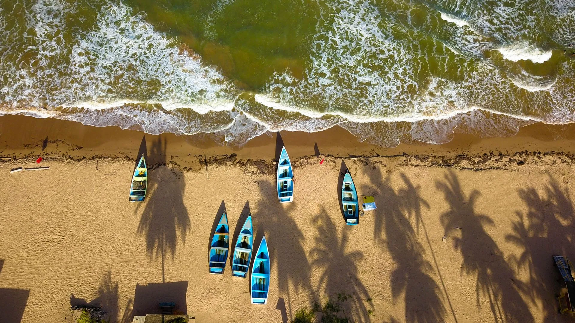 Beach with palm shadows and boats